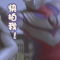奥特曼00260-快拍我