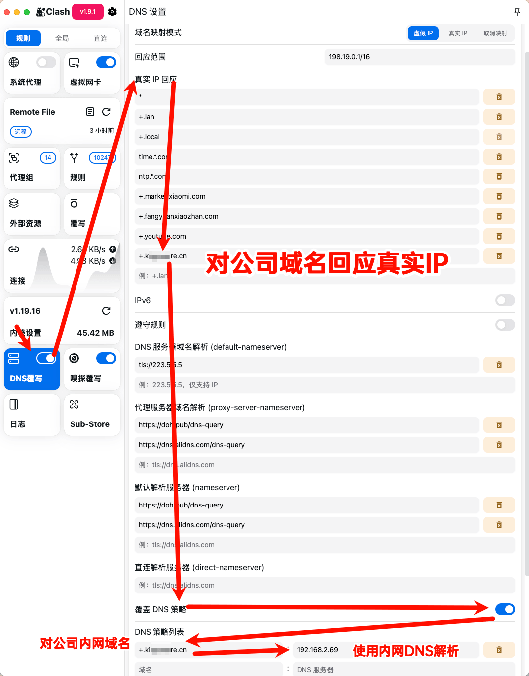 Clash Party 对公司域名回应真实 IP 并使用内网 DNS 的配置截图