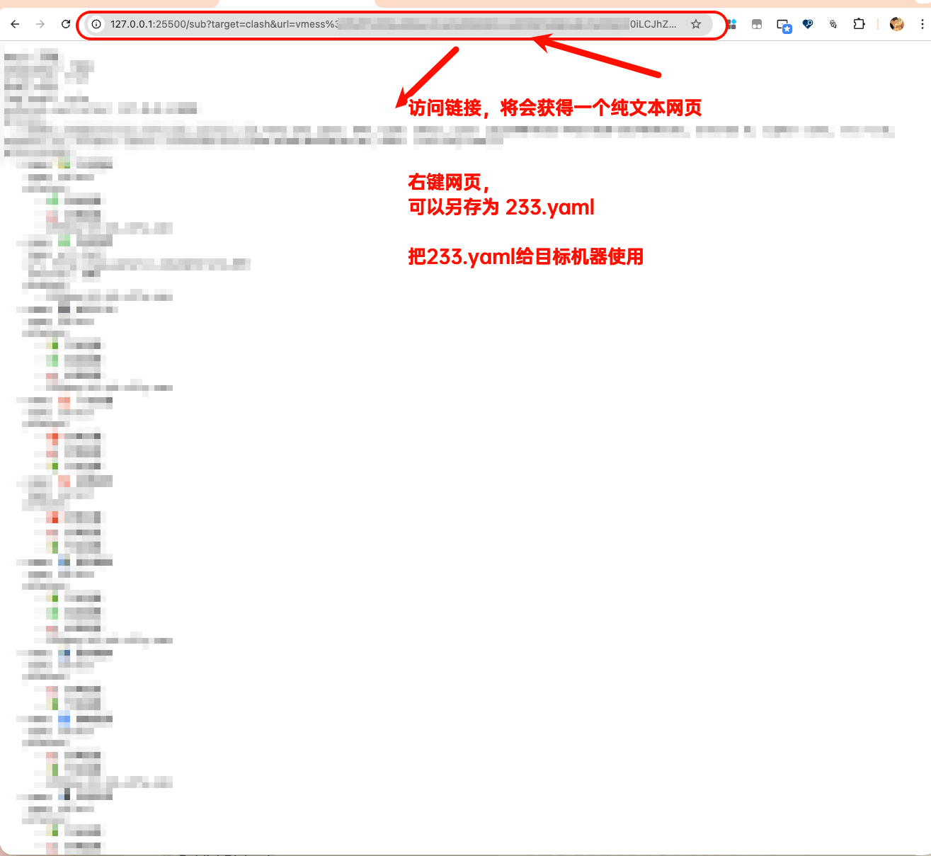 subconverter 将 vmess 链接转换为 Clash 订阅文件的结果截图