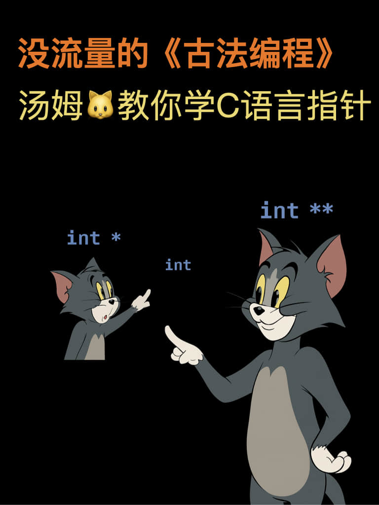 程序员古法编程之汤姆的指针